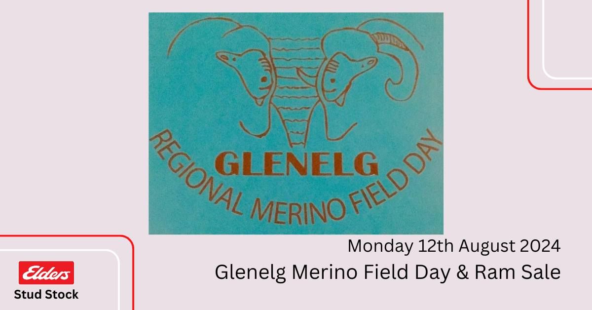 Glenelg Merino Field Day & Ram Sale