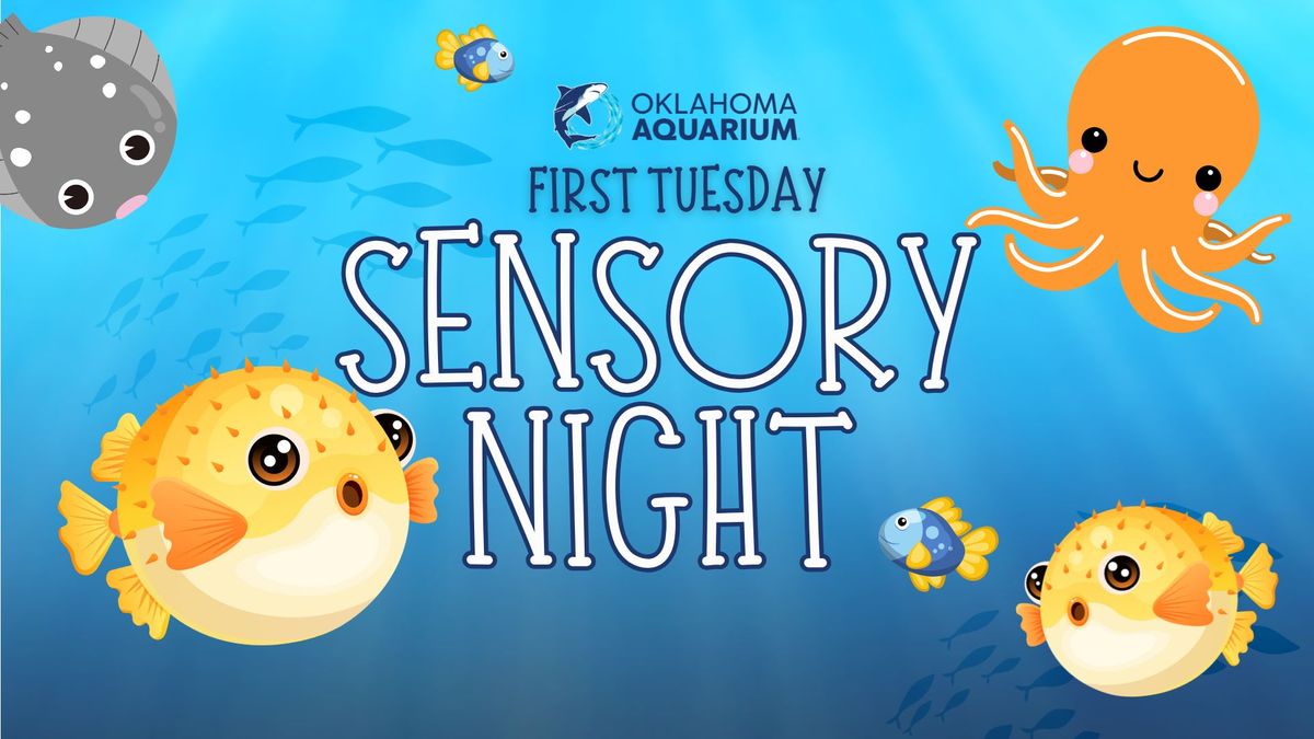 OKAQ Sensory Night