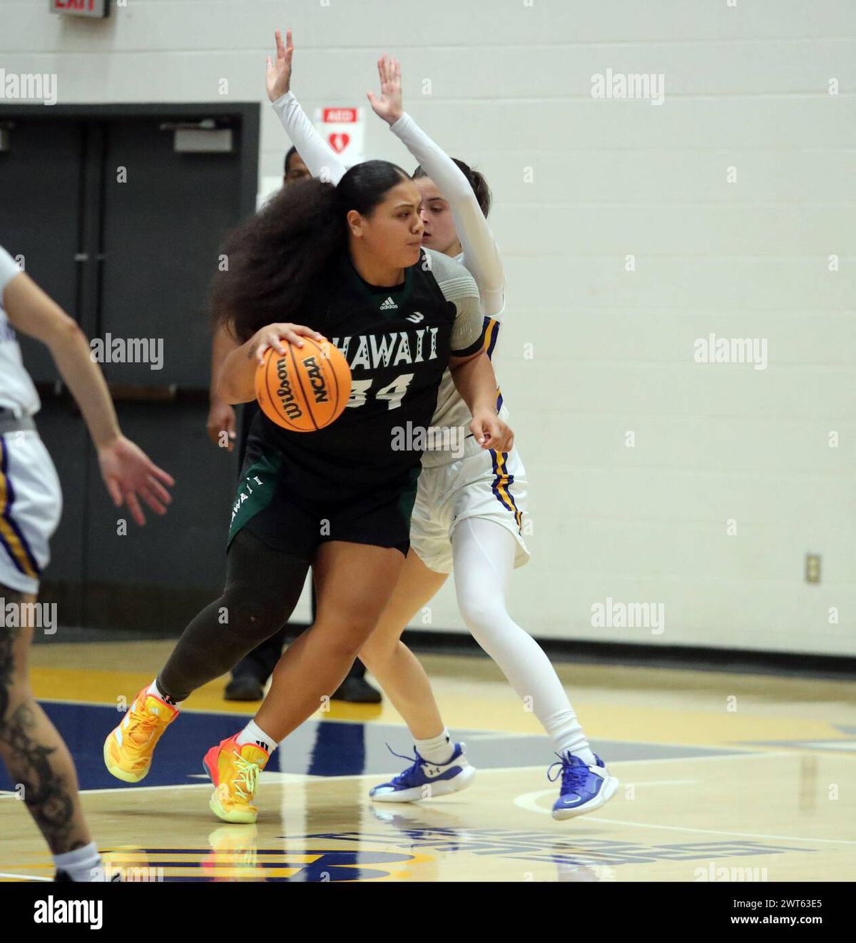 Hawaii Rainbow Wahine Women's Basketball vs. CSU Bakersfield Roadrunners