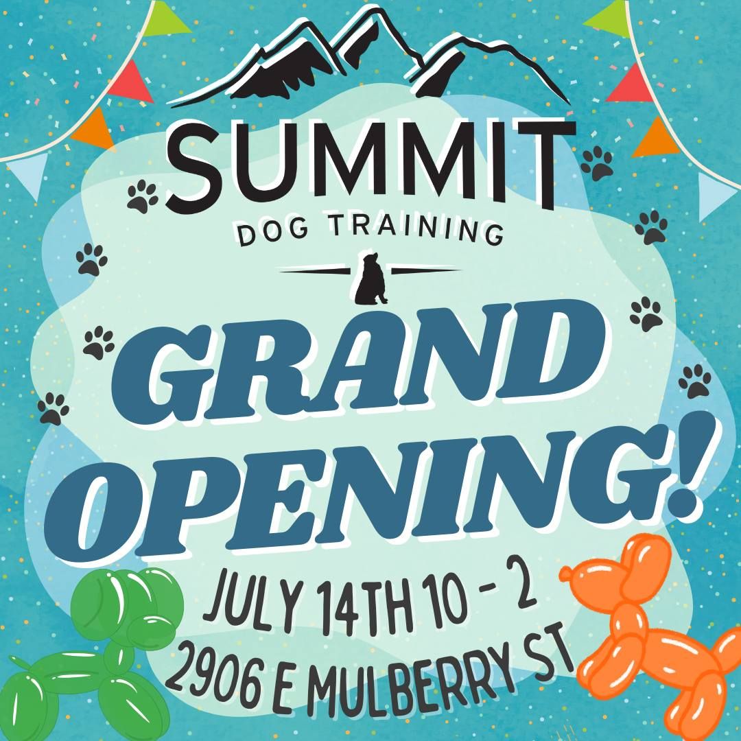 Summit's Grand Opening!