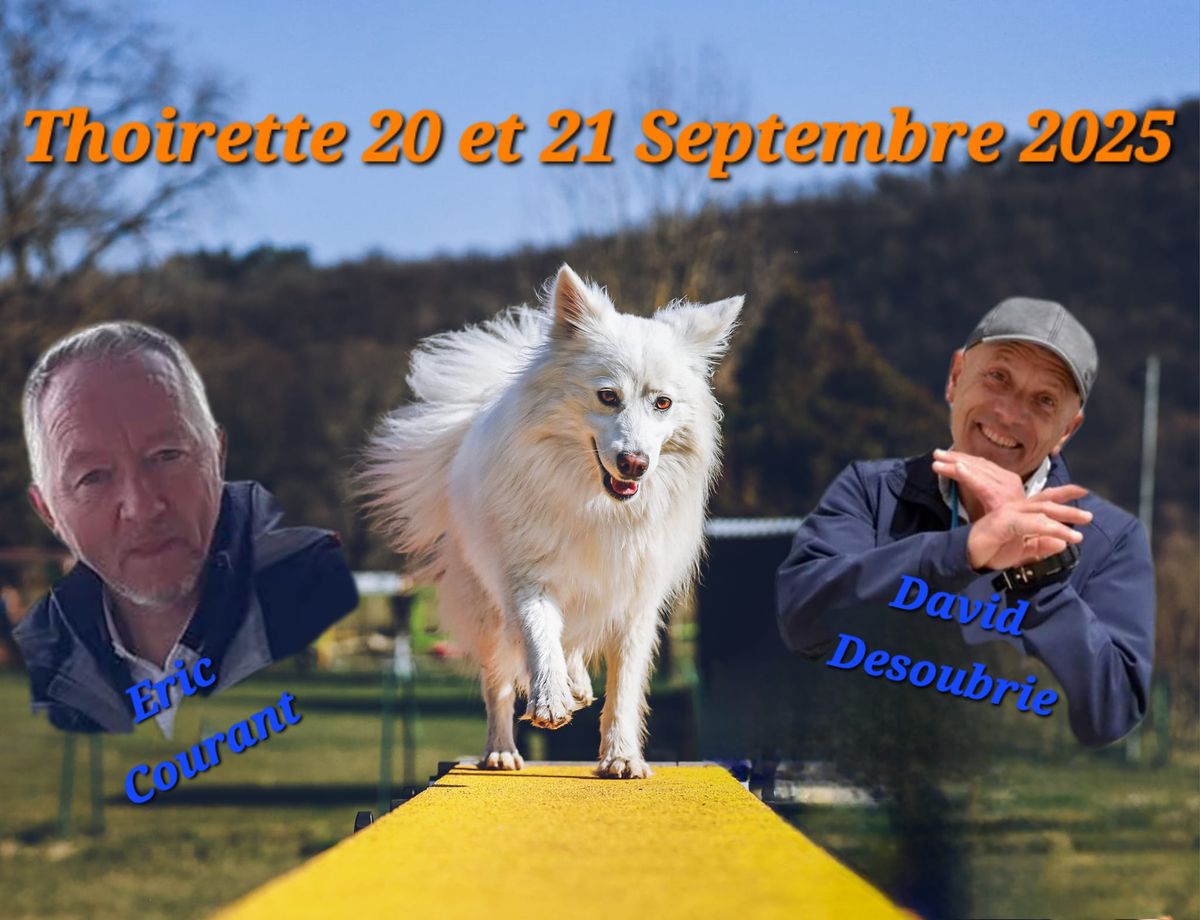 F\u00eate du chien 2025 