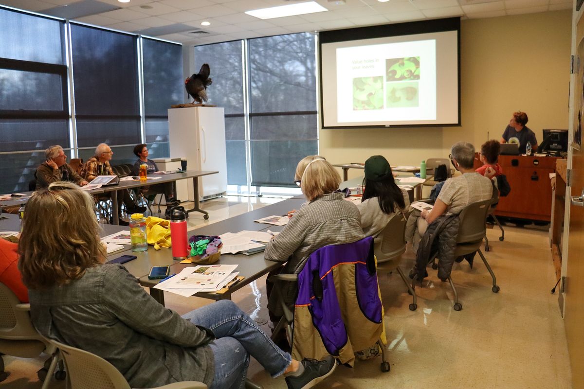 Grow Your Own Prairie in North Georgia