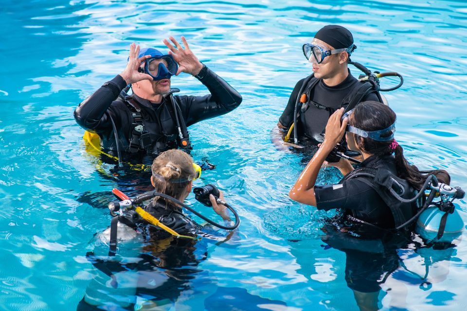 Theorie Dive Group Management
