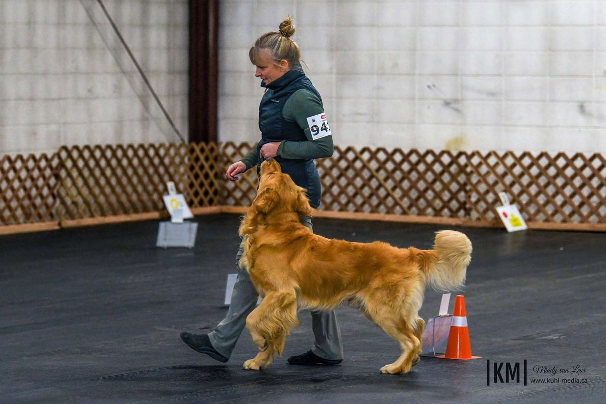 Rally Obedience - Novice