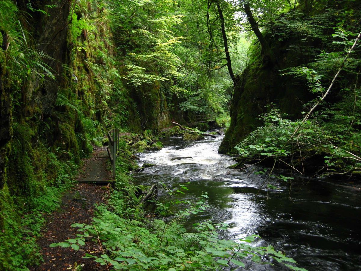 Ness Glen Wild Swimming Walk