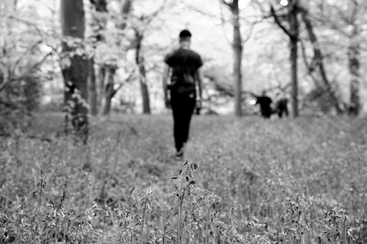 Bethlem History Walk