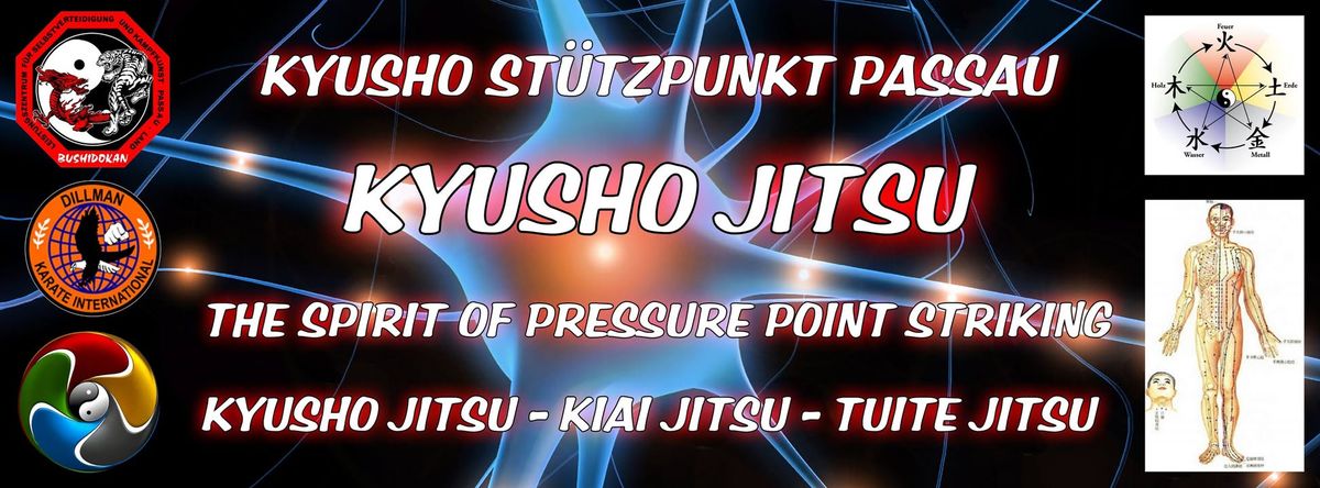 Kyusho Jitsu Seminar mit GM J\u00fcrgen Kraus 8. Dan DKI