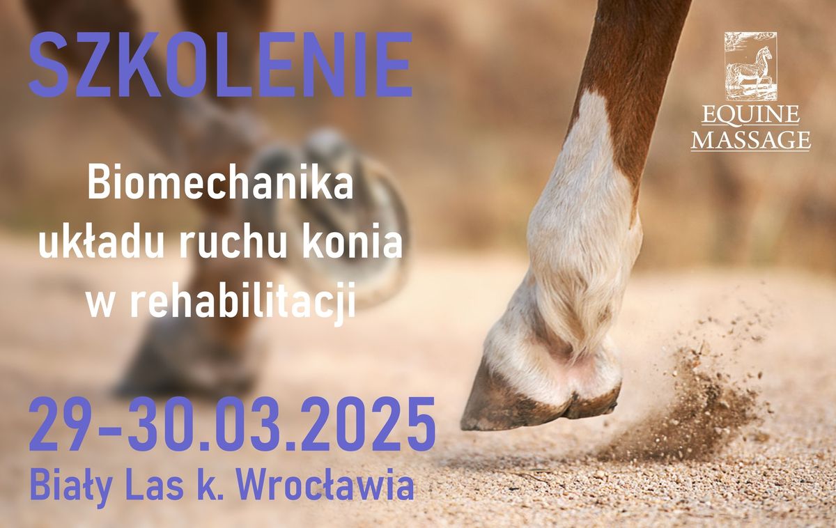 SZKOLENIE - BIOMECHANIKA UK\u0141ADU RUCHU KONIA  W REHABILITACJI 