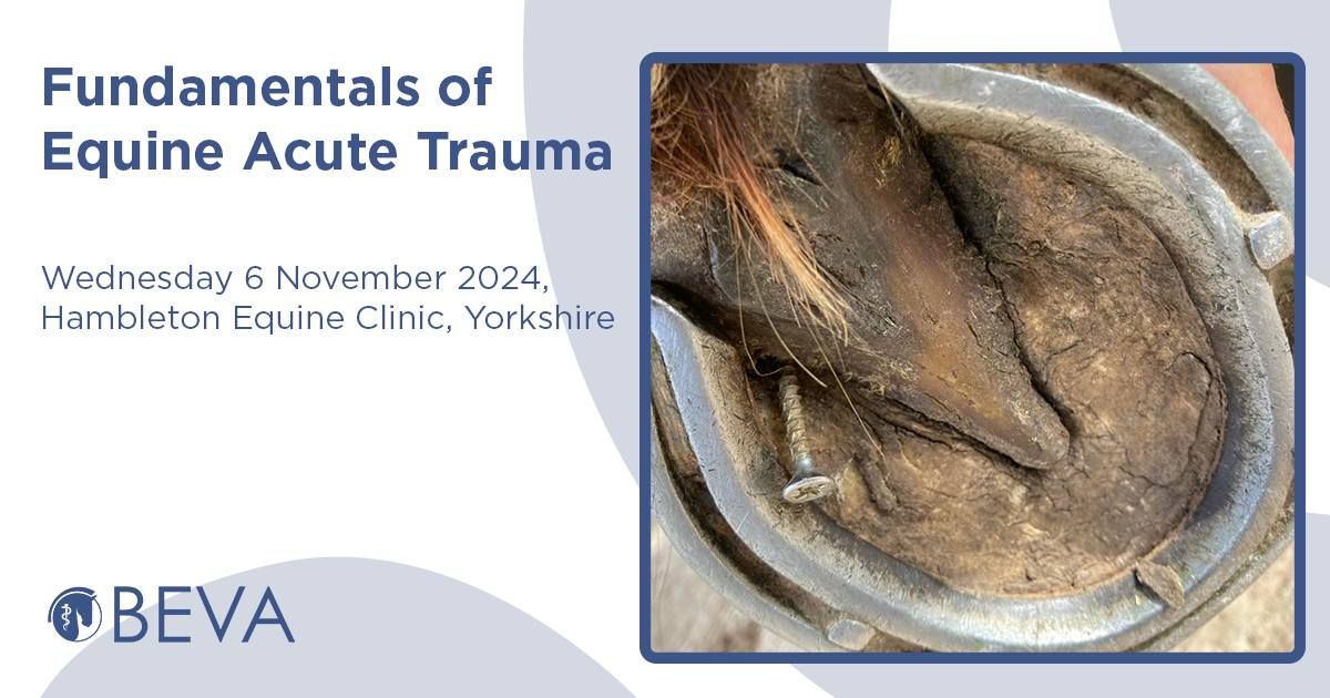 Fundamentals of Equine Acute Trauma