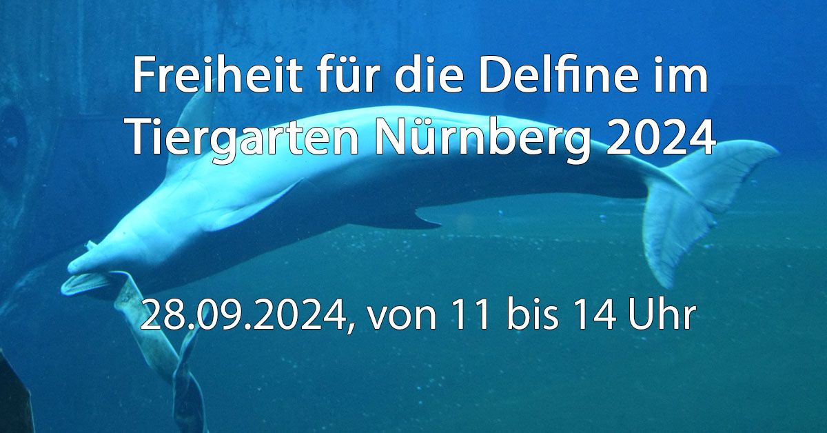 Freiheit f\u00fcr die Delfine im Tiergarten N\u00fcrnberg 2024