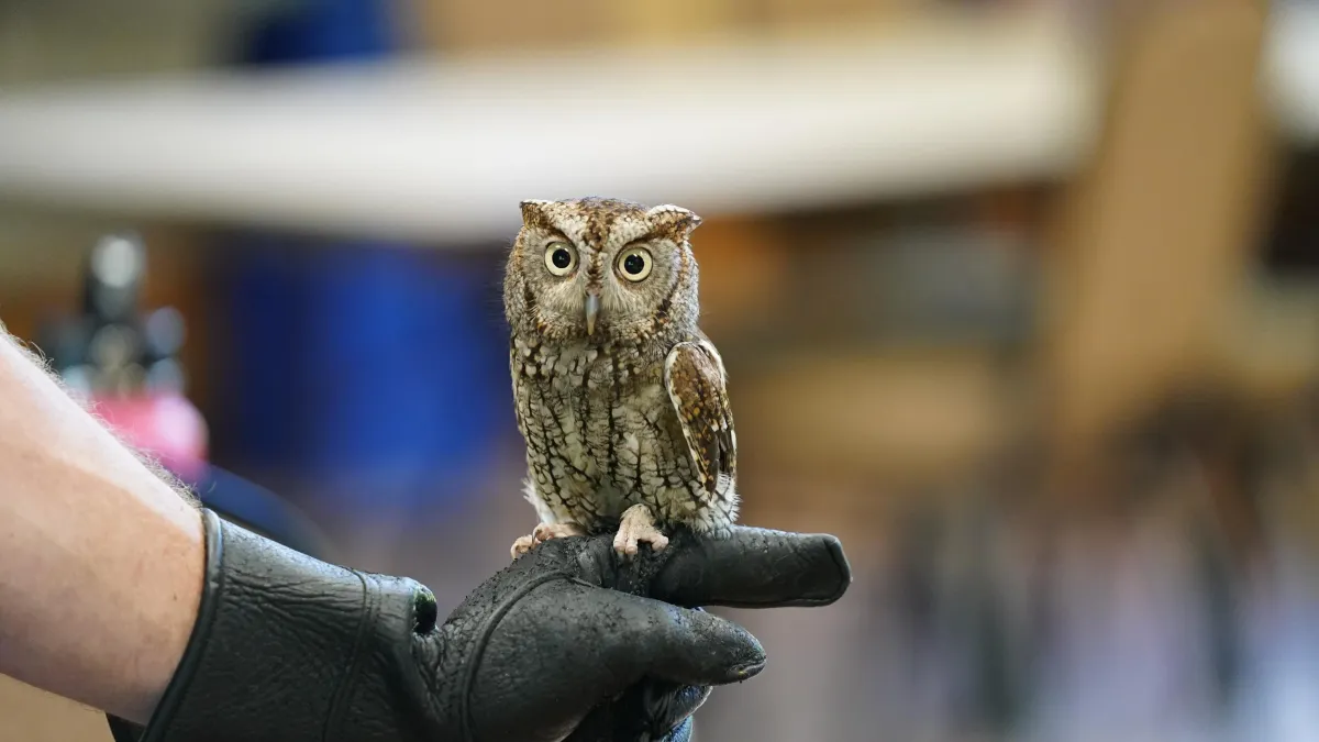 Family-Friendly Night Hike at Moccasin Lake Nature Park