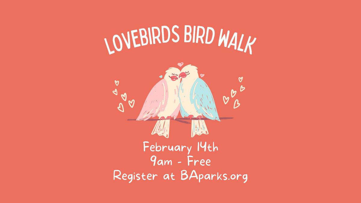 Lovebirds Bird Walk