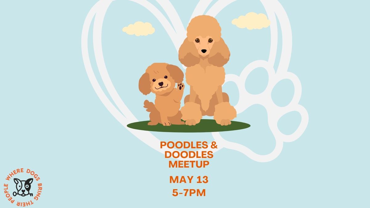 Poodles and Doodles Meetup