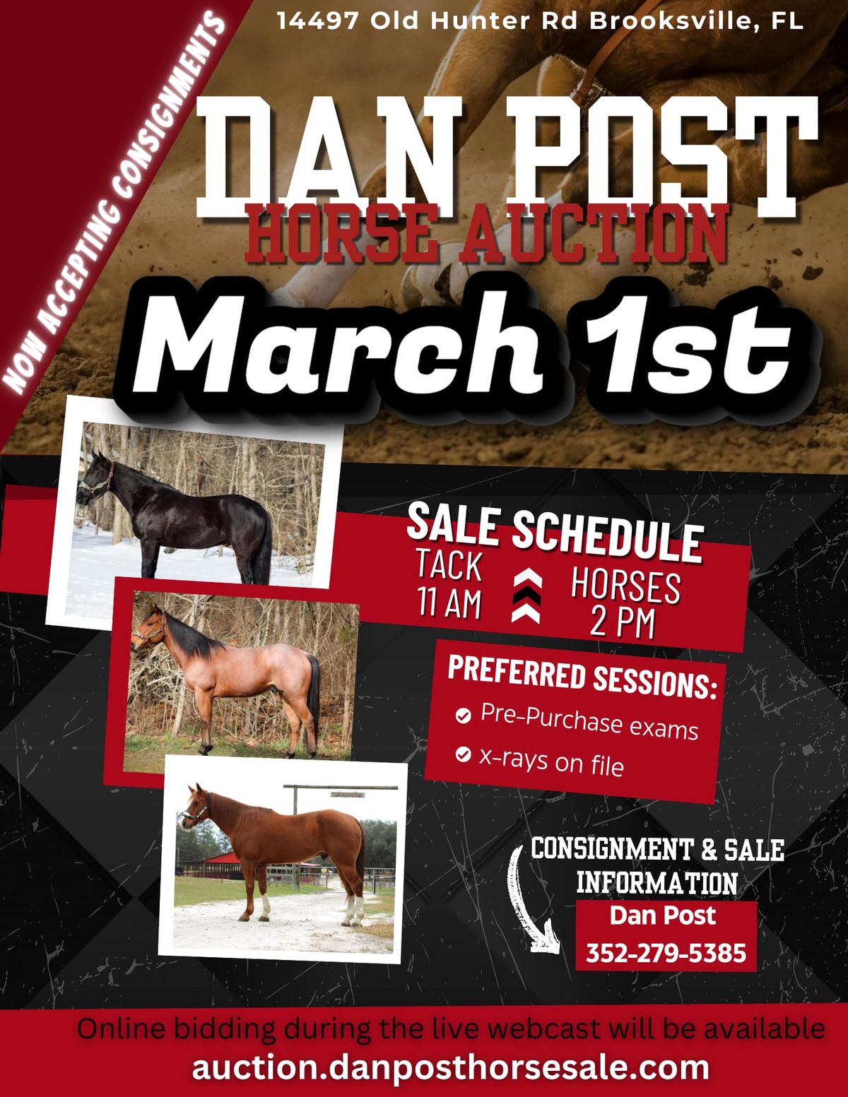 March 1st Horse Sale!