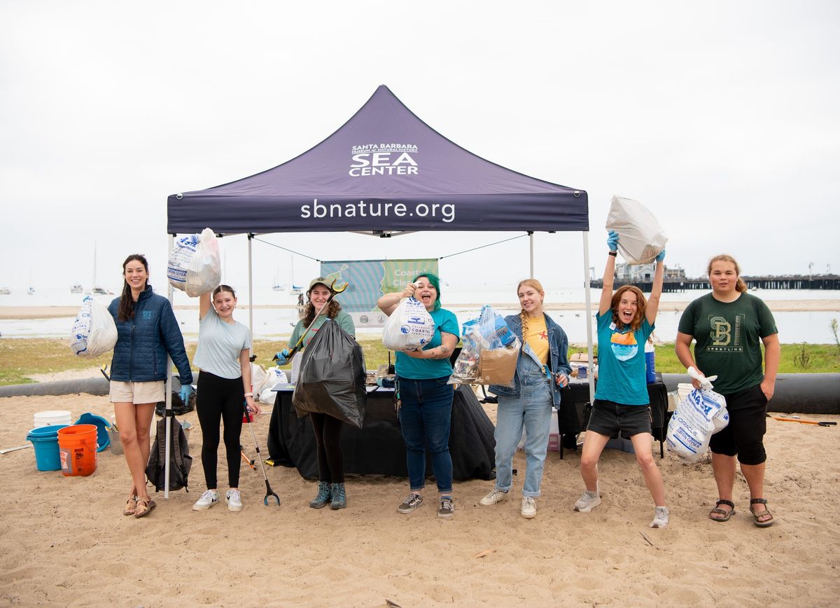 Beach Cleanup