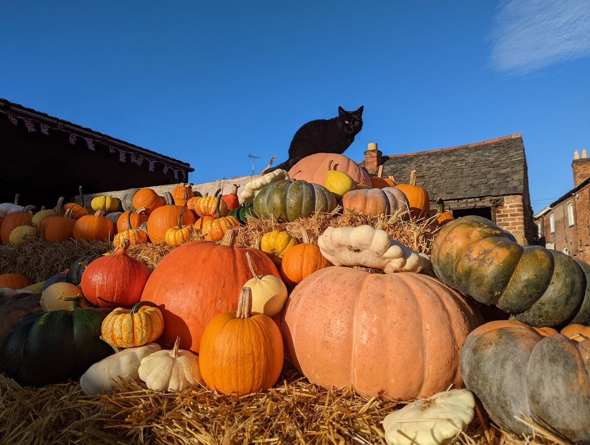 Halloween on the Farm 