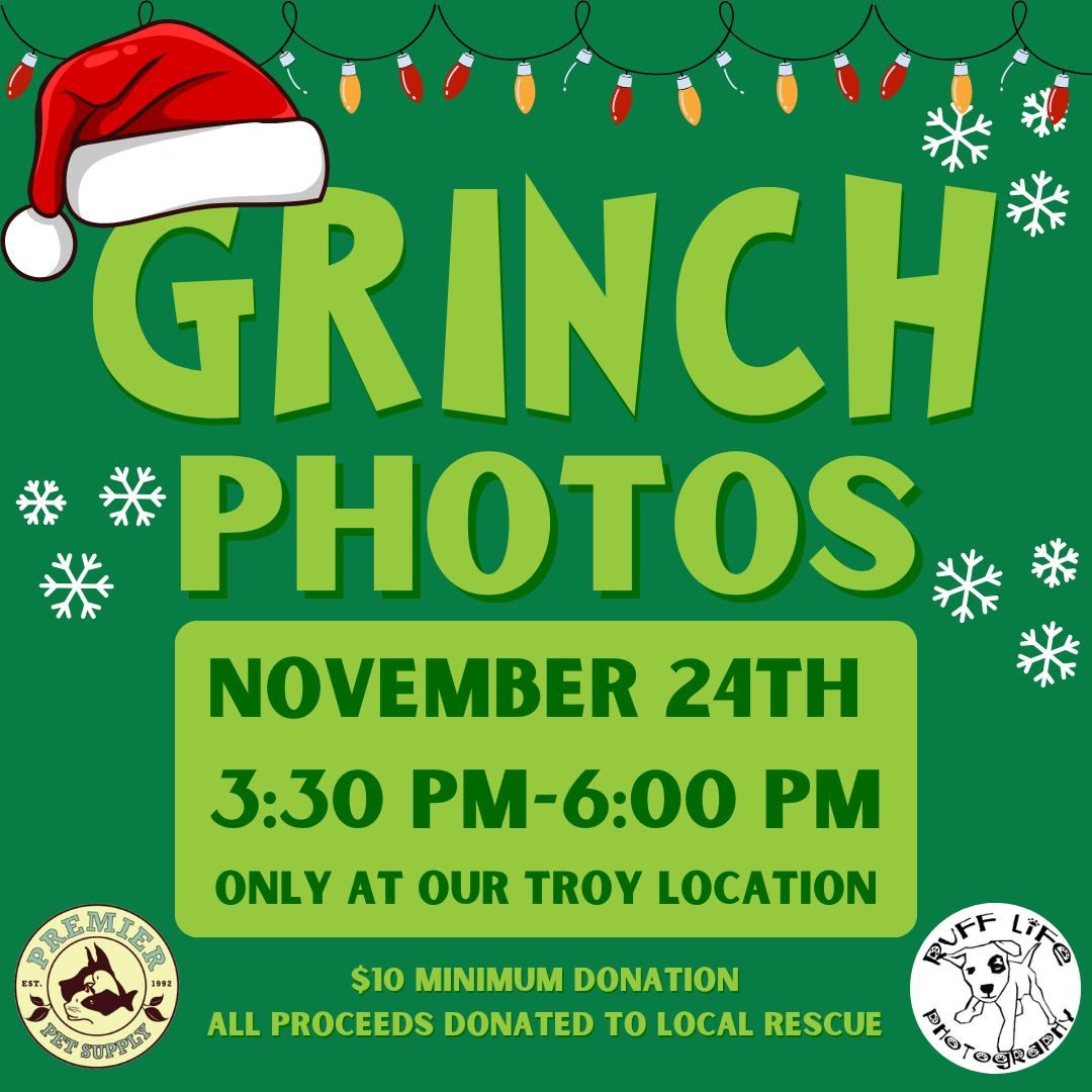 Grinch Pet Photos W\/ Ruff Life Photography!