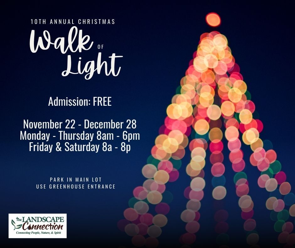 10th Annual Christmas Walk of Light