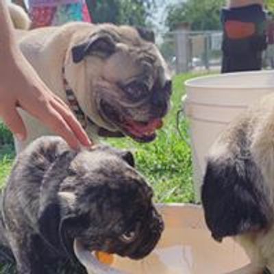 Visalia Pug Days
