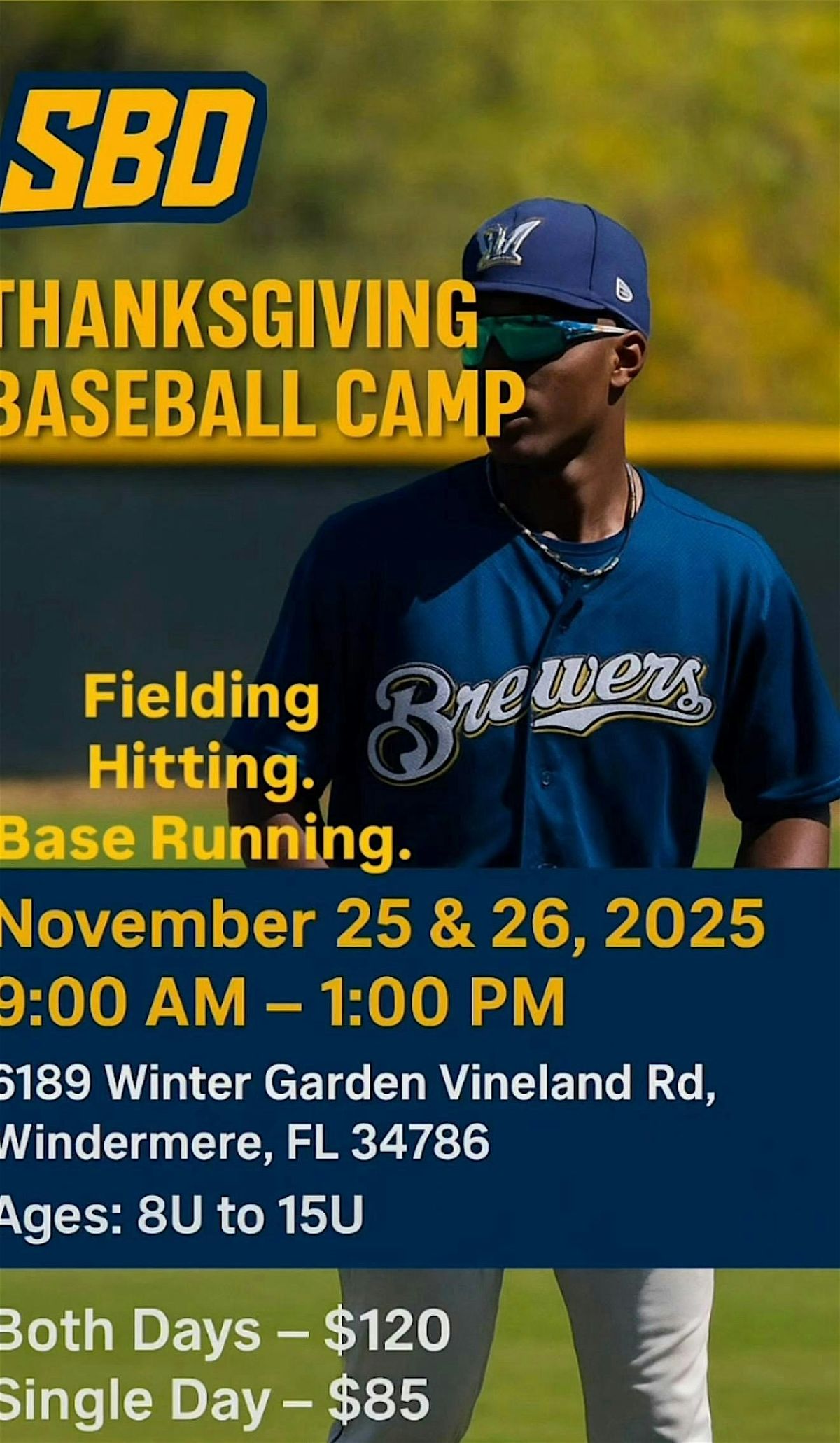 Sano Baseball Development  Thanksgiving Baseball Camp