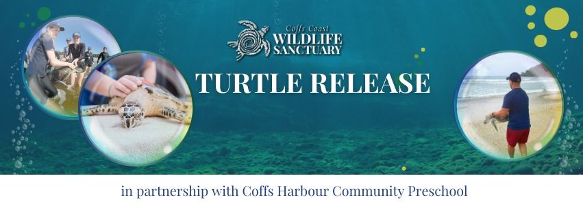 Turtle Release 'Ray' in partnership with Coffs Harbour Community Preschool