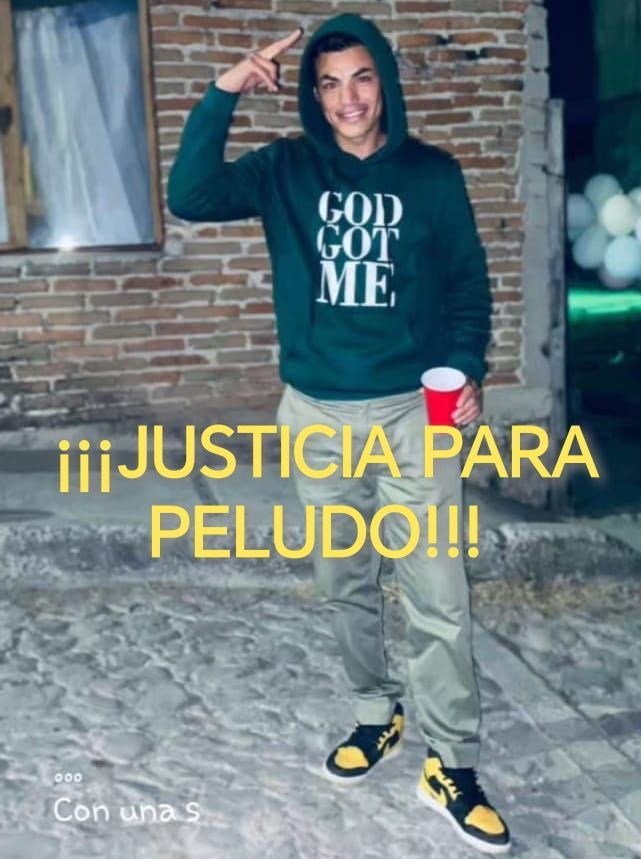 JUSTICIA PARA PELUDO 