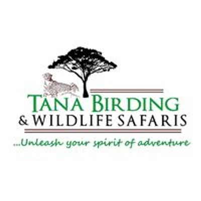 Tana Birding and Wildlife Safari's