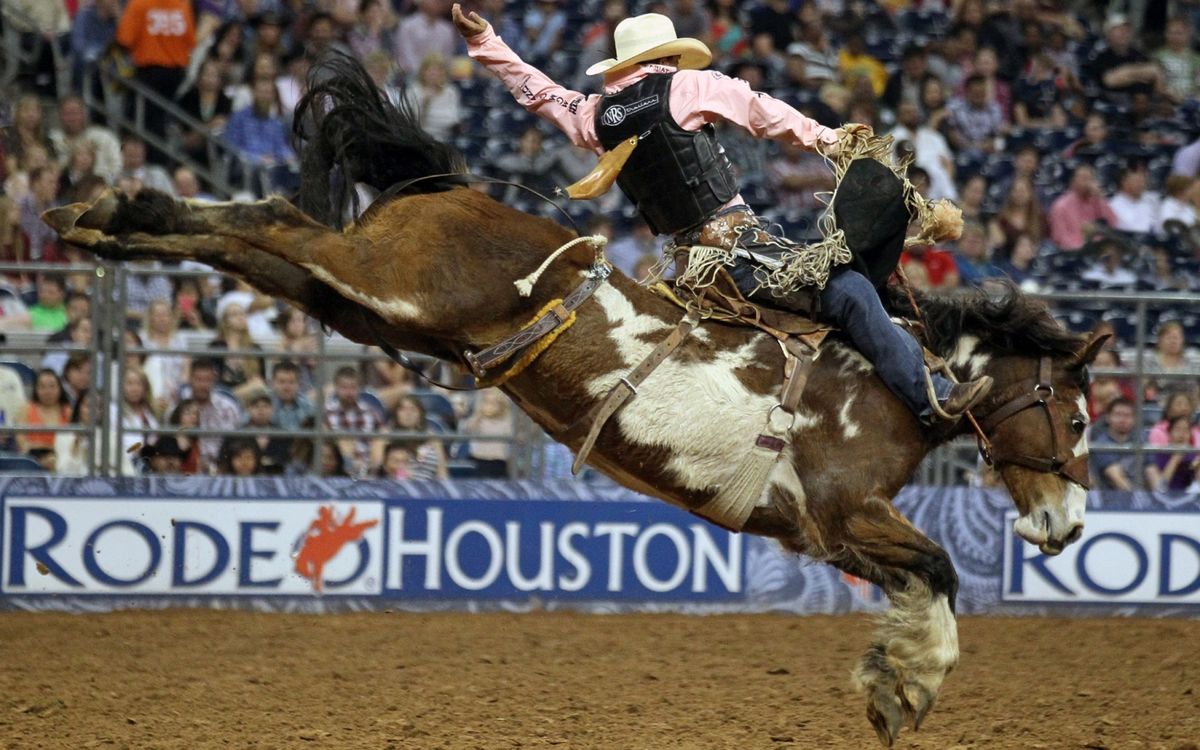 Houston Livestock Show And Rodeo