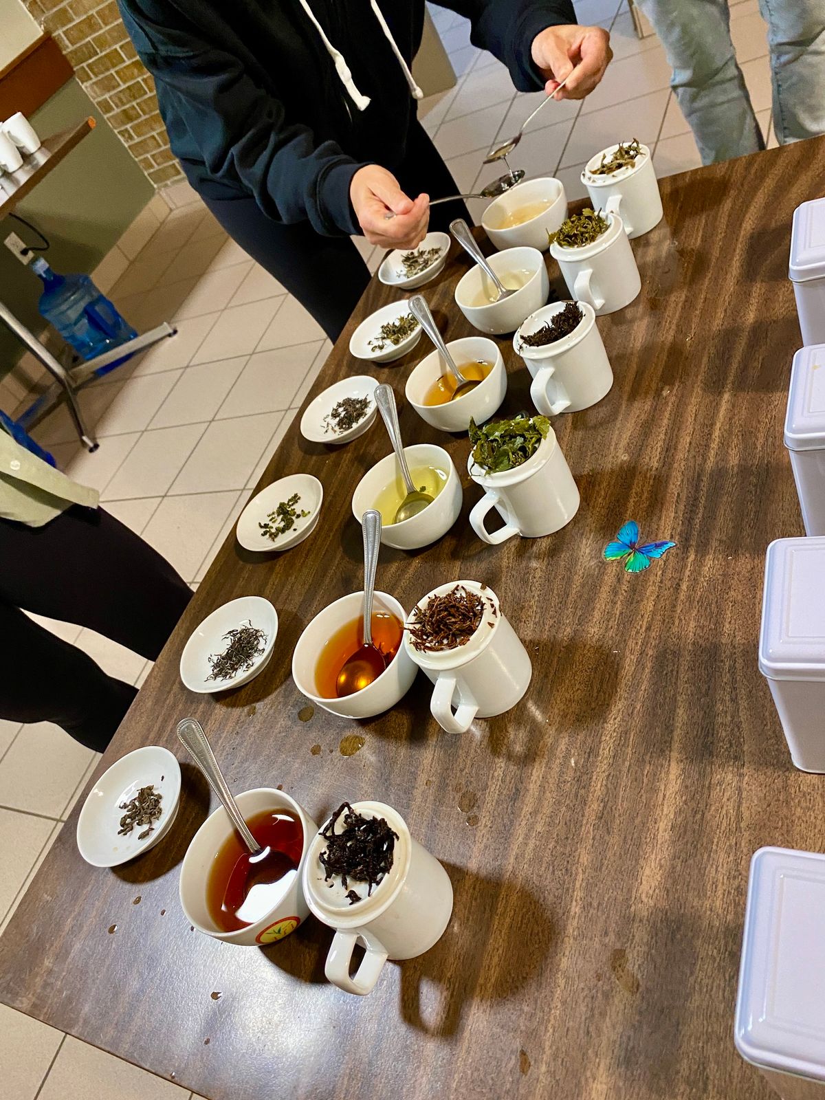 Intro to Tea Tasting - Learn to "Cup" like a Professional