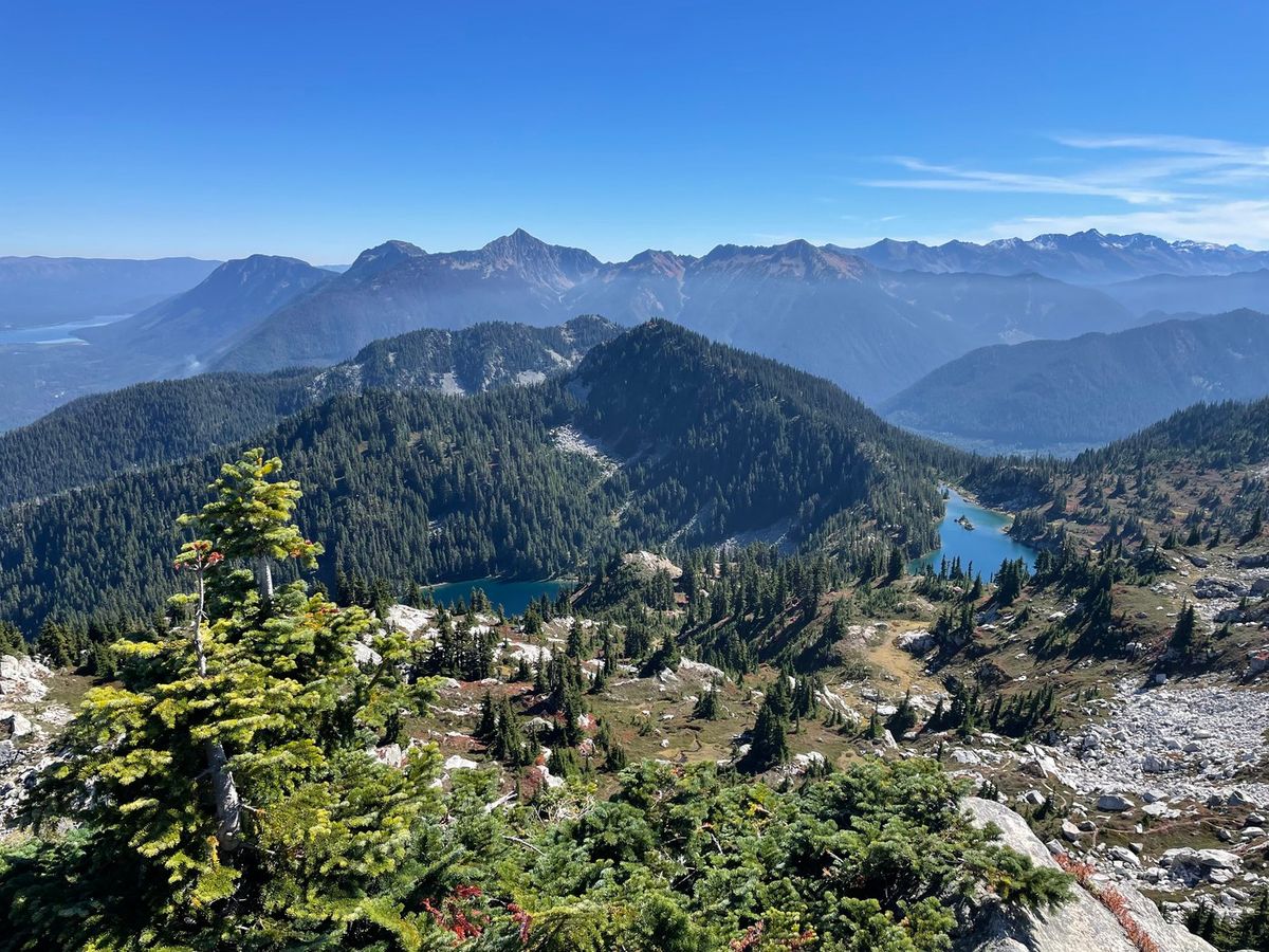 Labyrinth - Washington