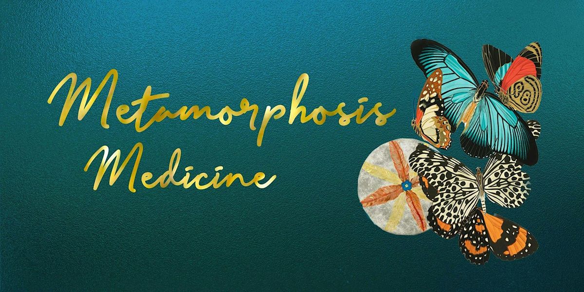 Metamorphosis Medicine:  A spirit animal journey