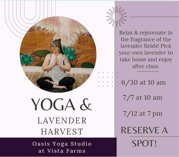 Vista Farms Lavender Harvest & Yoga with Oasis Yoga Studio