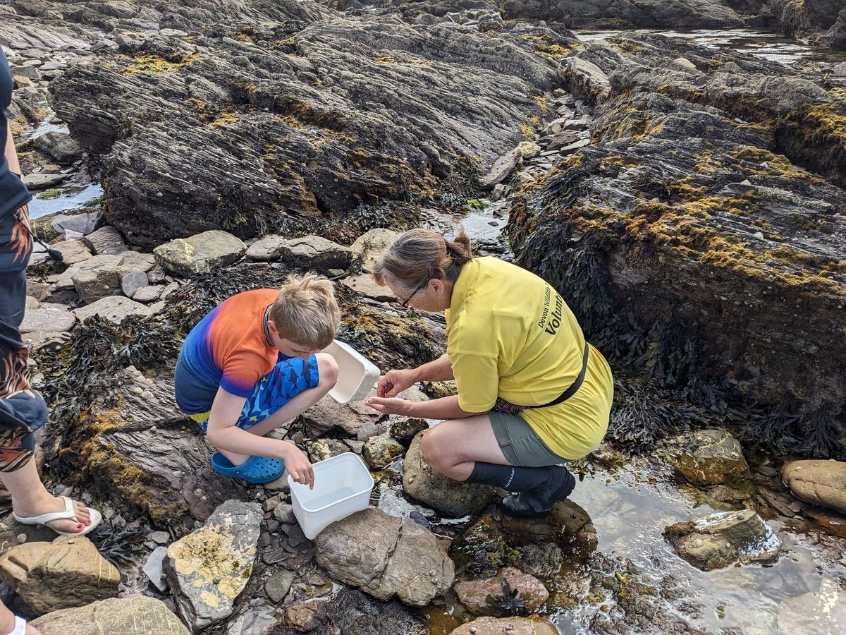 Rockpool Safari (22 Sep)