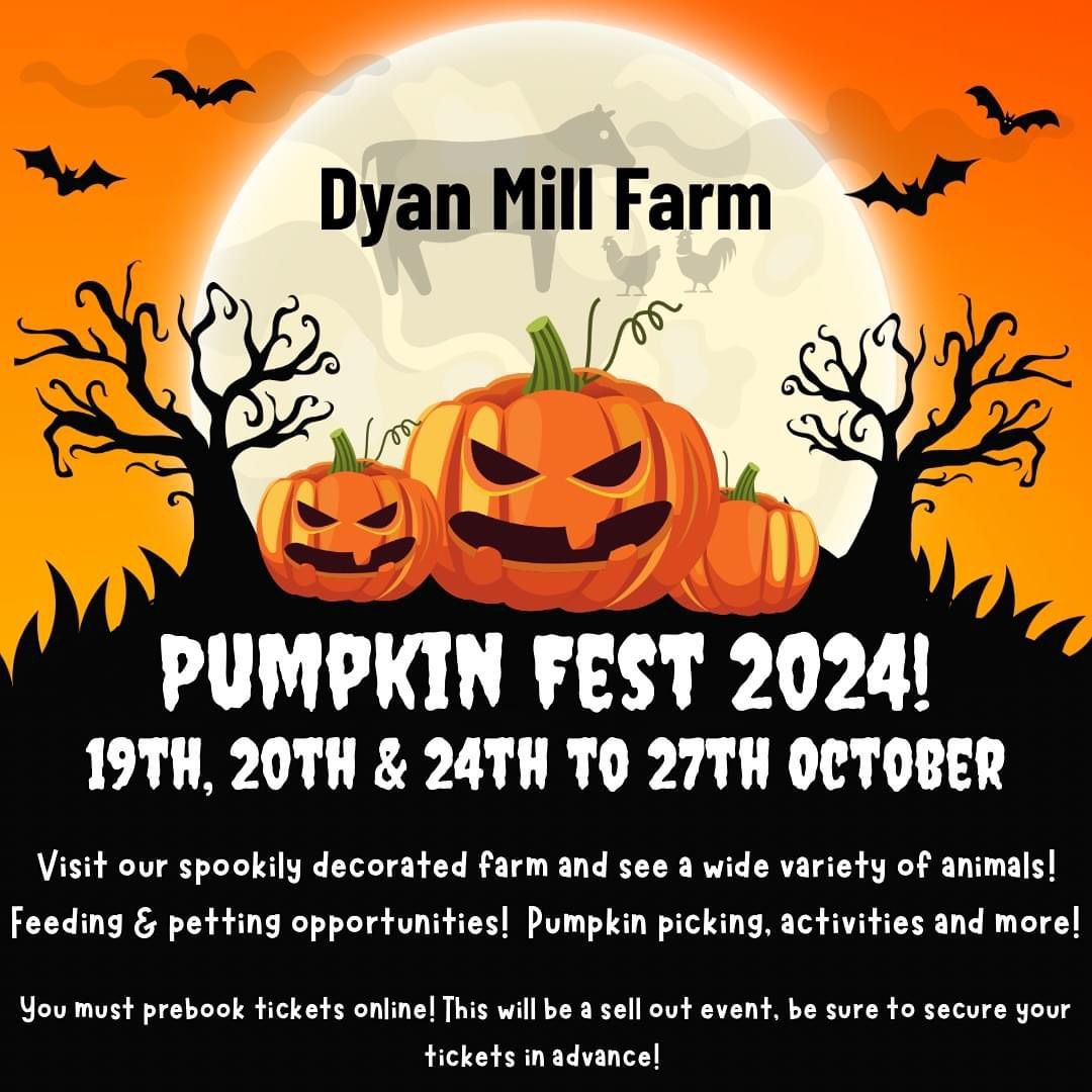 Pumpkin fest @dyanmill 