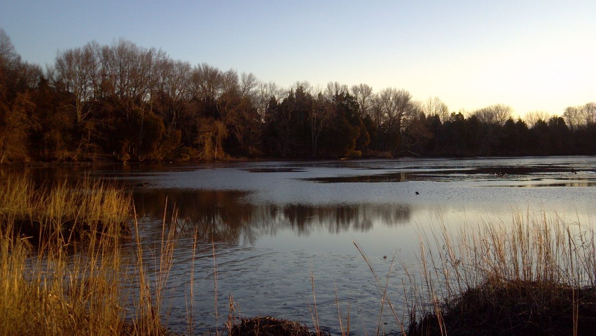 Winter Hike at the Blackbird Creek Reserve