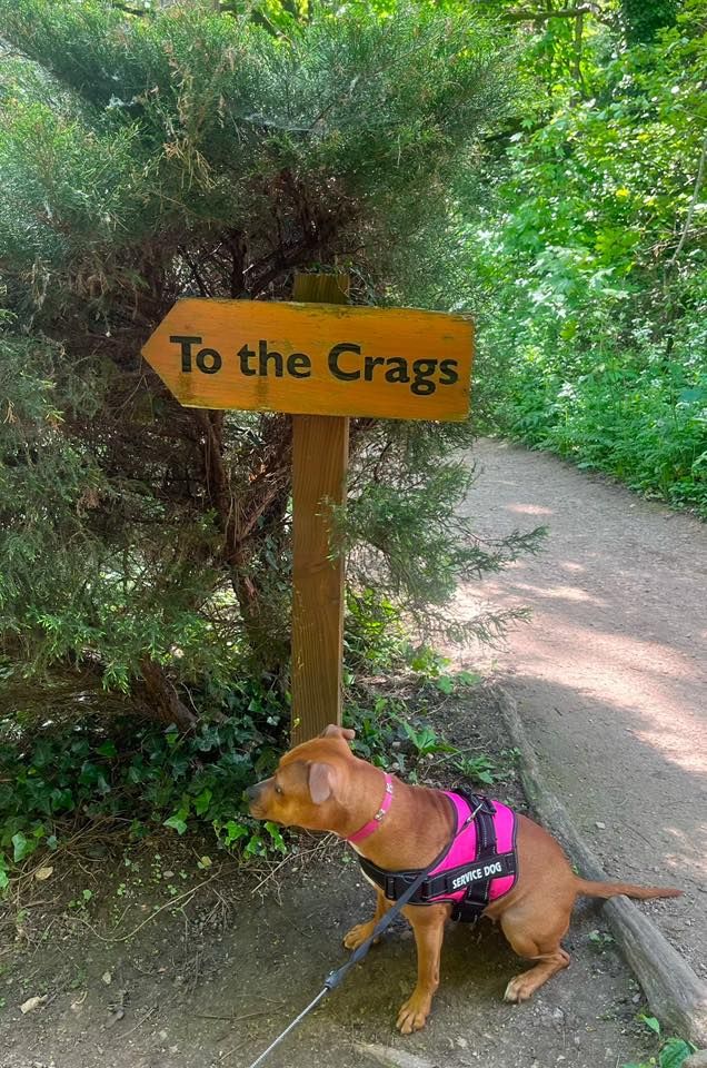 Creswell Crags Walk Meet-Up