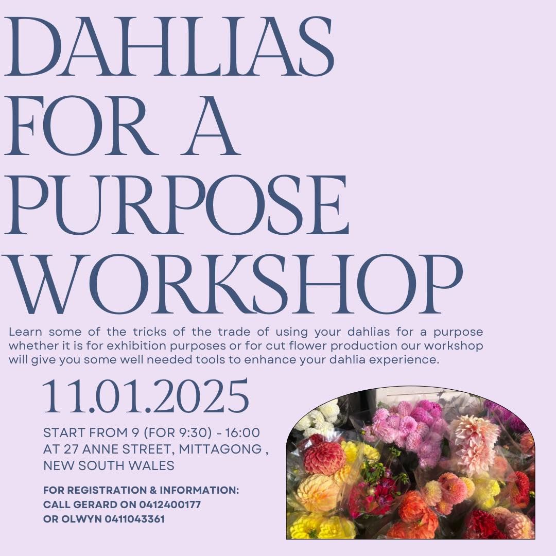 Dahlias for a Purpose - workshop