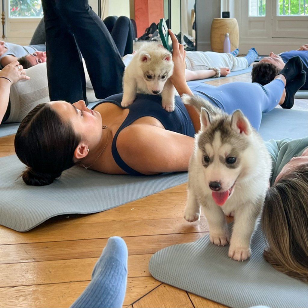 Puppy Yoga Session in London