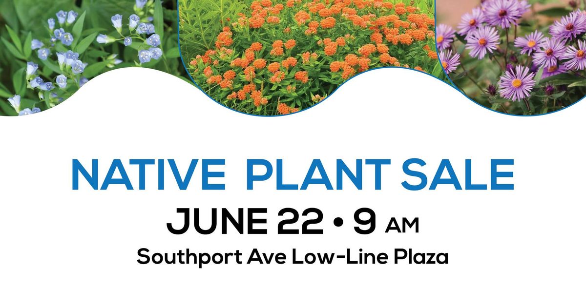 Native Plant Sale @ The Southport Low Line
