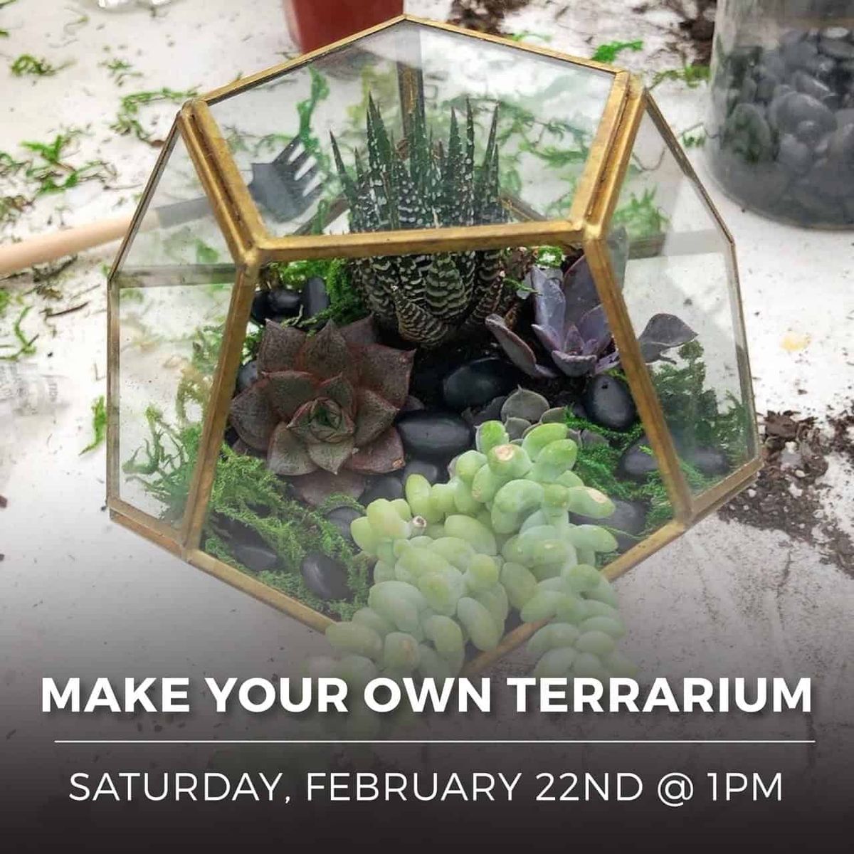 Make Your Own Terrarium