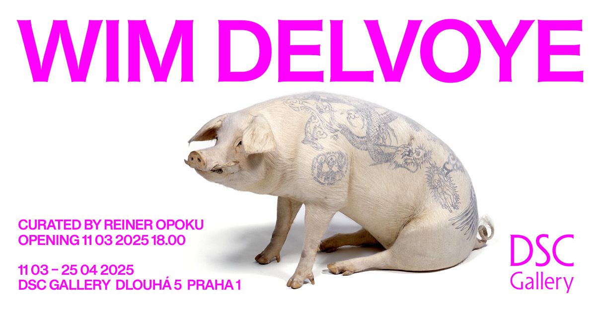 OPENING \/ 11. 3. 2025 18:00 \/ WIM DELVOYE \/ DSC GALLERY