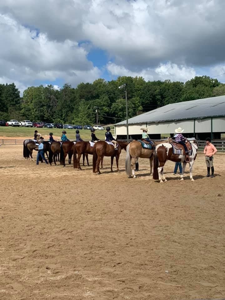 piedmont saddle club horse shows