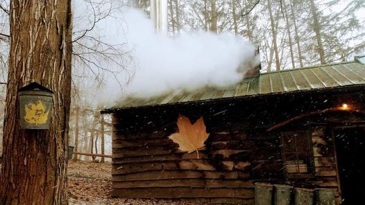 Maple Sugaring Days