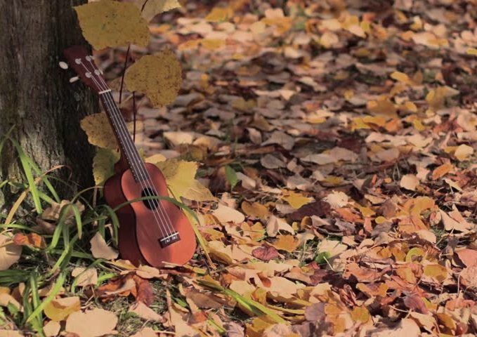 Intermediate Workshop - There Must Be 50 Ways to Strum Your Ukulele