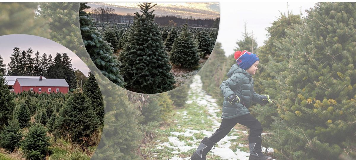 Woody Acres Christmas Tree Season: U-Cut & Fresh-Cut Trees