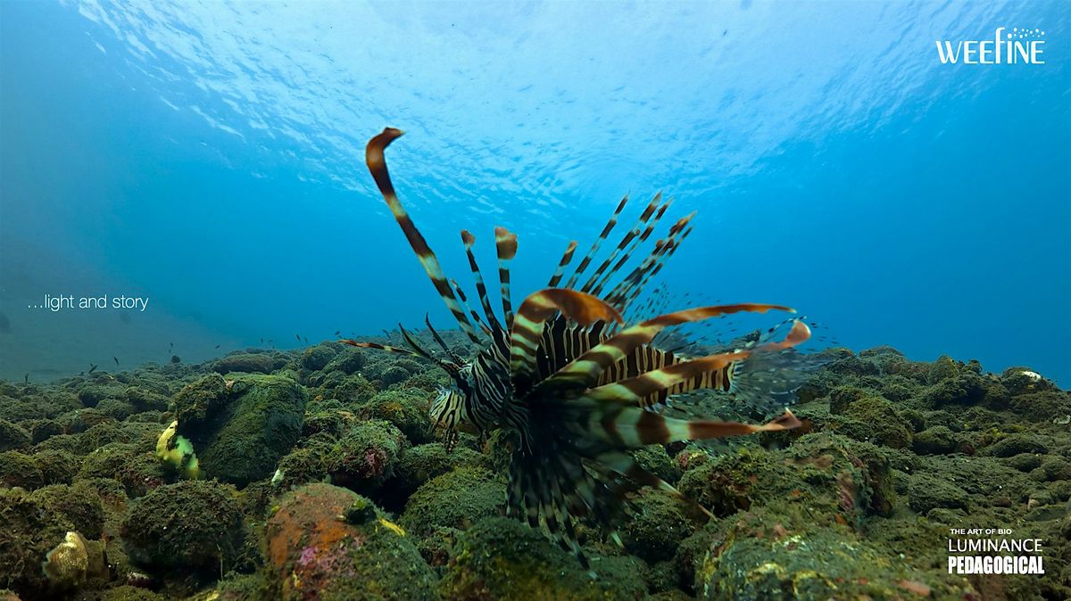 LunchTime Wellness Series -  UW  Imagery  using Action Camera with Zul