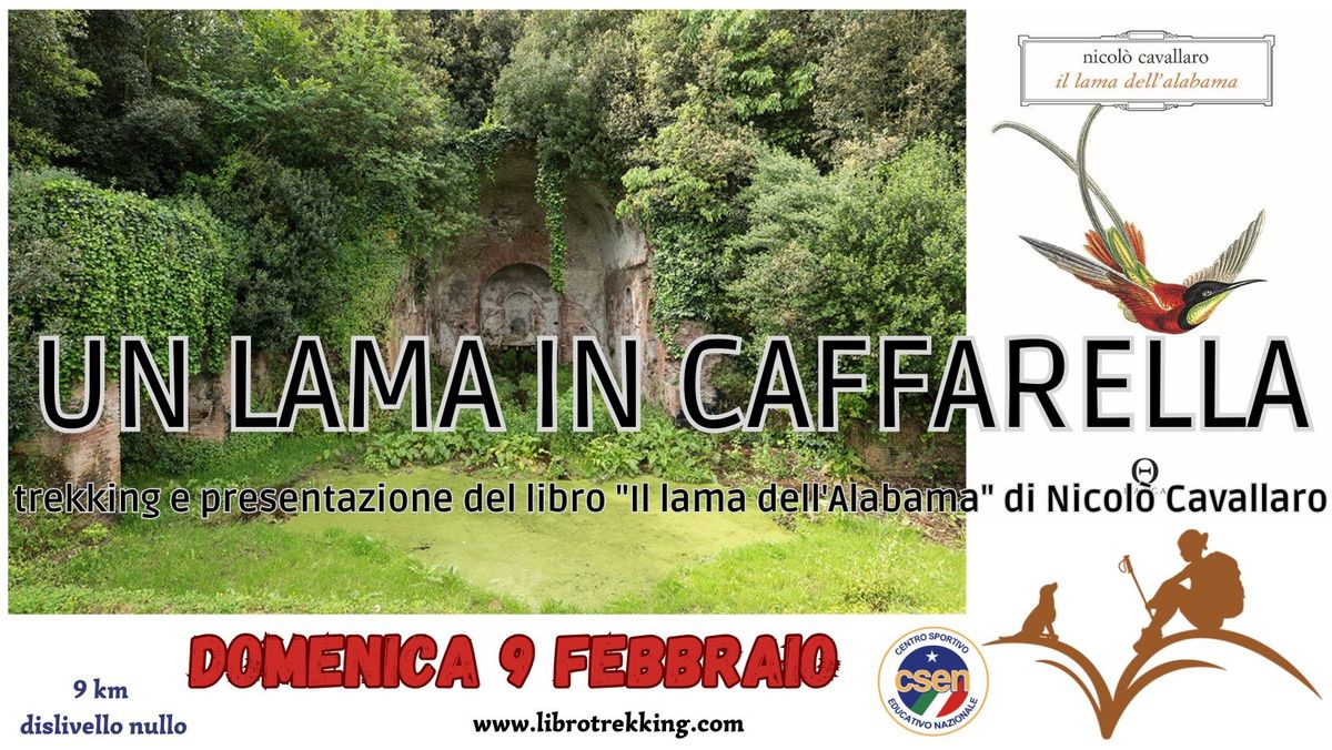 UN LAMA IN CAFFARELLA