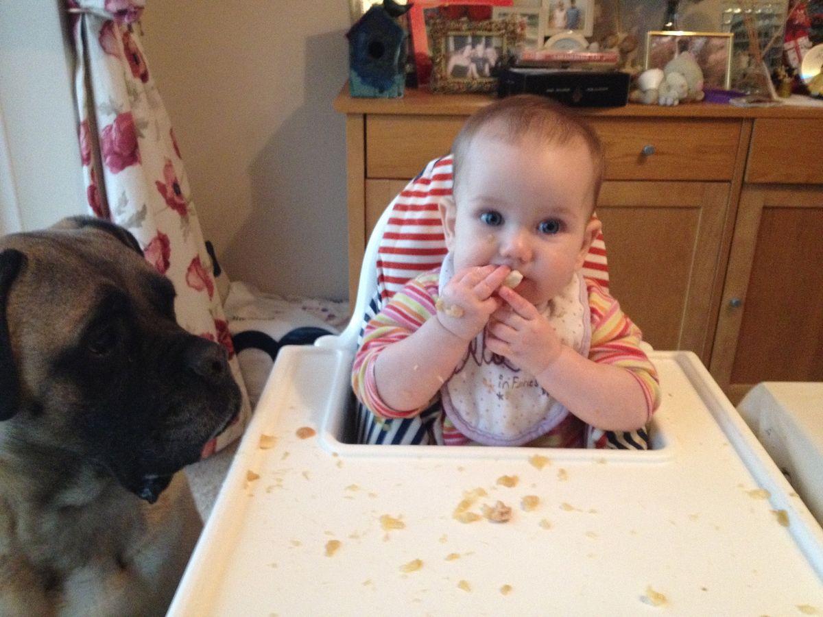 \ud83e\uddc1 BABY WEANING WORKSHOP - FUNDED \ud83e\uddc1