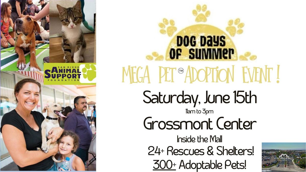 Dog Days of Summer MEGA Pet \u2122\ufe0f Adoption Event