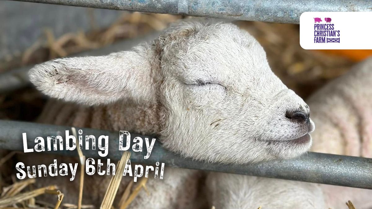 Lambing Day - Sunday 6th April - Princess Christians Farm